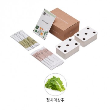 LG 틔운 미니용 씨앗키트 패키지 (청치마 상추)